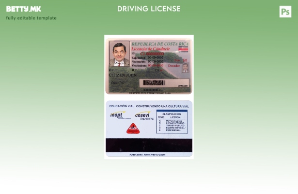 Модерен стил на Костарика DL шаблон